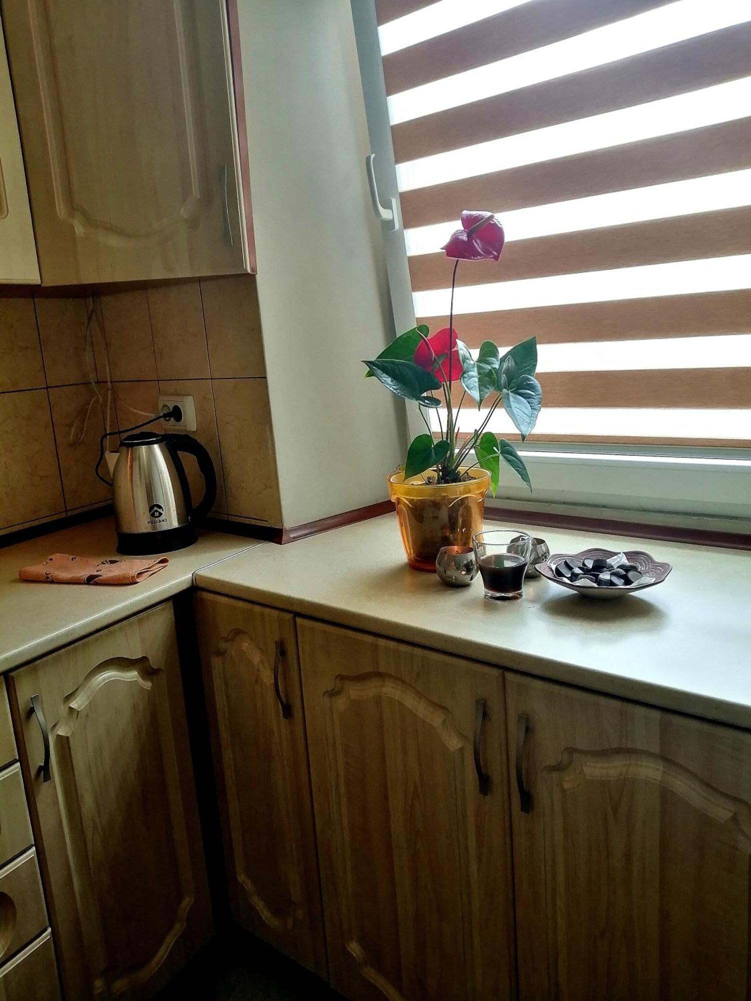 Apartament Flat On Sheptytskykh Lwów Zewnętrze zdjęcie